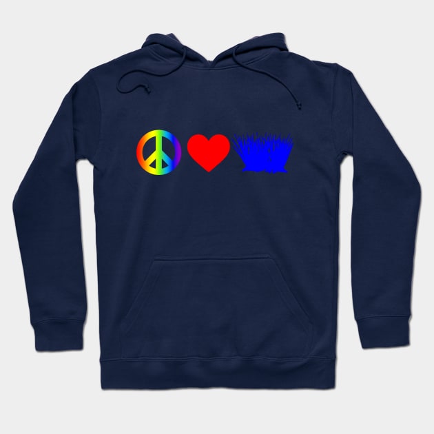 Peace Love Bluegrass Hoodie by GypsyBluegrassDesigns